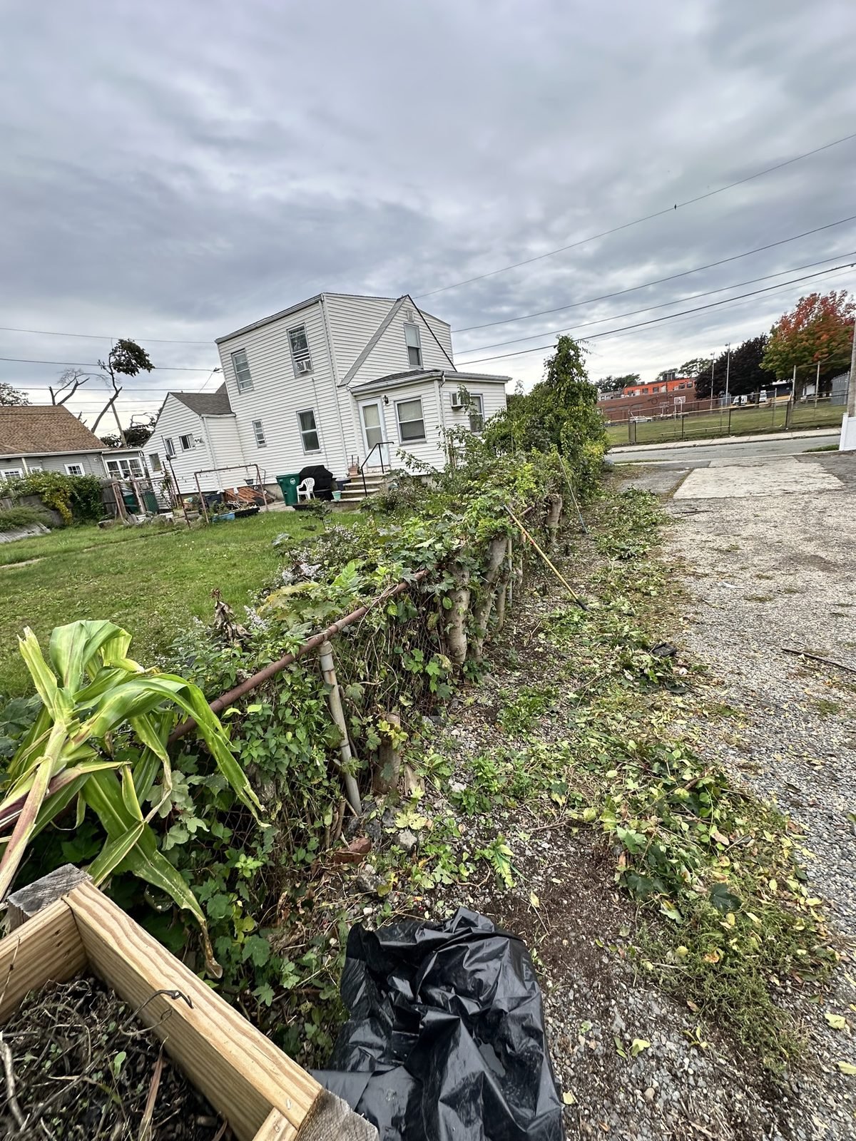 A yard before a fall leaf cleanup by Ocean Comercio in Lynn, MA