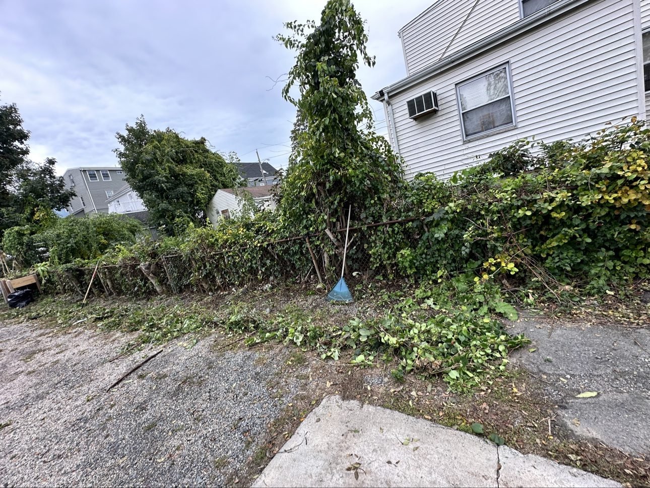 Ocean Comercio crew during a fall yard cleanup